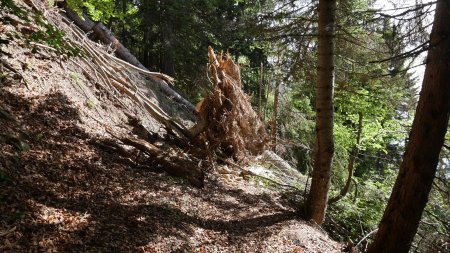 L’un des très nombreux obstacles...