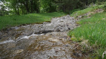 Retour sur le Sentier de l’eau