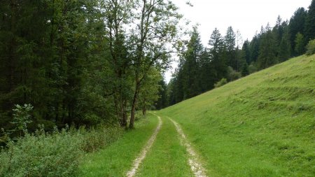 Le chemin de retour en France