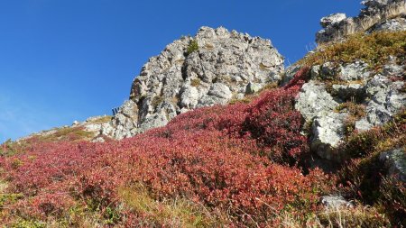 Montée vers les paravalanches