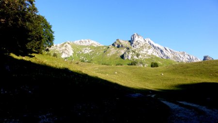 Sortie de forêt  sur l’Arcalod (2207m)