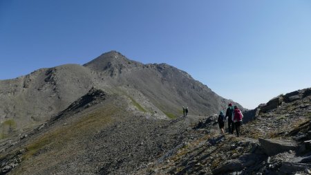 Une belle crête assez esthétique.