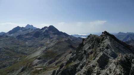 Nous sommes suivis ... par un connaisseur d’Altituderando.