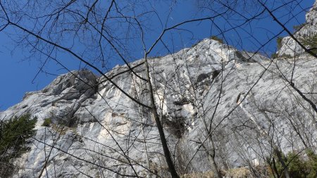 Sous le Rocher du Roux