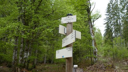 Panneau, direction le Crêt de la Vigoureuse