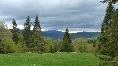 Vue depuis Crêt de la Vigoureuse : la Haute Chaîne et le Crêt de Chalam