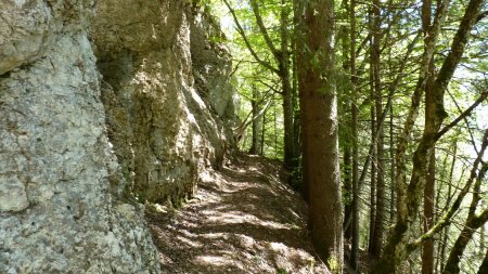 A l’approche des échelles