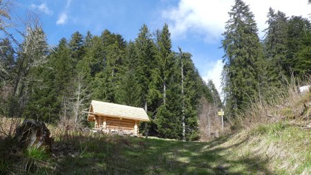 Cabane forestière en rondins (toute neuve)