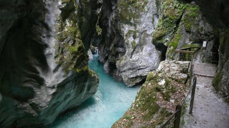 La belle couleur d’eau de la rivière Tolminka.