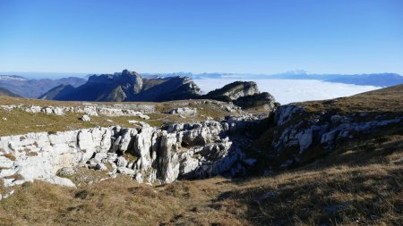 Une petite partie du vaste panorama.