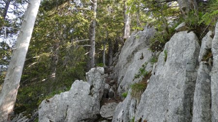 Montée au Roc de Four Magnin