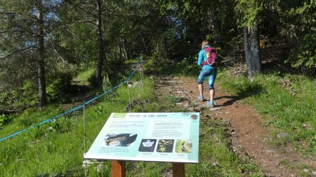 Sentier de l’eau