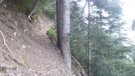 En contrebas de l’arête, le sentier se rétrécit