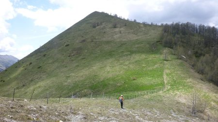 Le sommet du Péloussier, longer la palissade