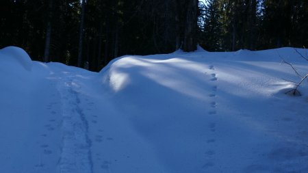 Qui donc a laissé sa trace sur la droite ?