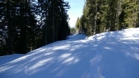 Je retrouve la trace du skieur de rando, mais je pars à gauche.