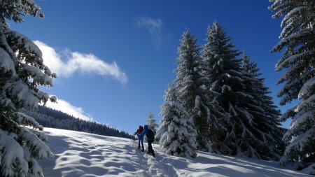 La poudreuse n’est pas très épaisse mais superbement agréable.