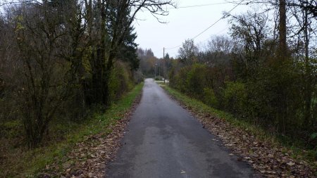 L’ancienne voie ferrée entre Lons et Champagnole