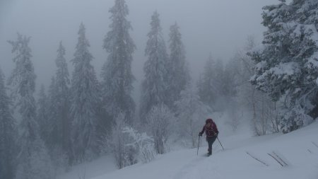 On va déboucher sur la crête ... pour la vue il faudra revenir !