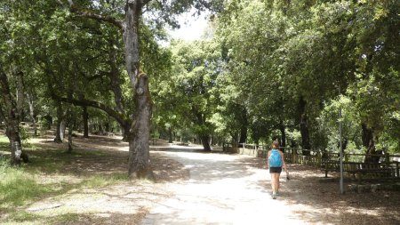 Retour dans le parc Santa Barbara