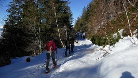 Juste avant de ’plonger’ plein Nord dans le Bois du Brûla.