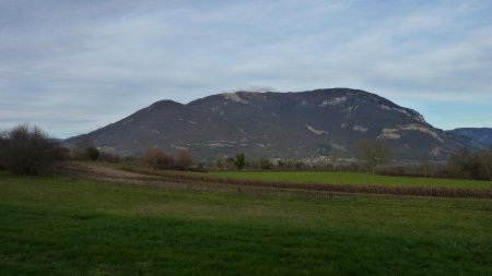 Le Grand Colombier