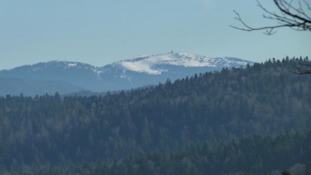 La Dôle (1677m) depuis le Mont des Ifs