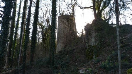 Ruines du Château de Montdidier