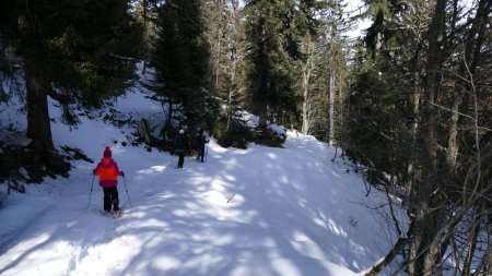 Descente vers le Col de Pomine.