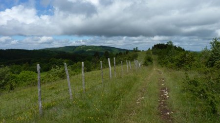 Regard dans le rétro, parcours en crête