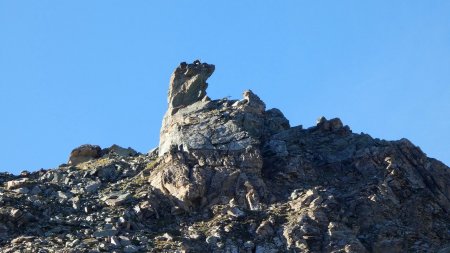 [Zoom] Le Bec de Pio Merlo