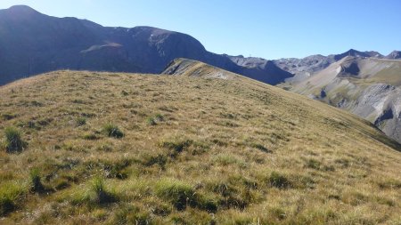 Le sommet de la Sure avec vue sur la Grande Sure