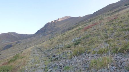 Partit à droite dans la pente herbeuse