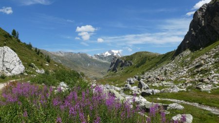 Retour vers le Cormet