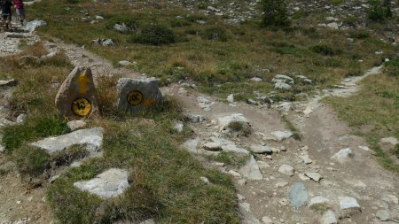 La bifurcation du 10C et du 10 (photo faite à la descente).