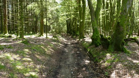 chemin du Haut des Chaumes