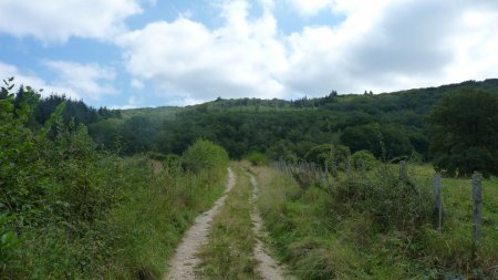 Le chemin à la sortie des Theurets