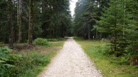 Heureusement, un peu plus loin, il redevient bien agréable à parcourir