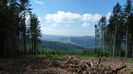 Petite vue grâce à une coupe d’arbres