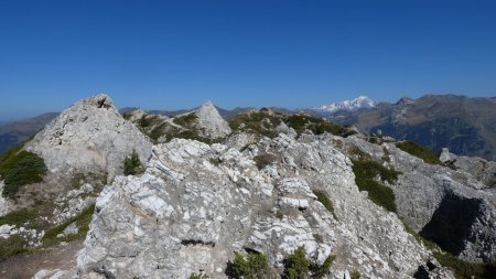 Sur la crête