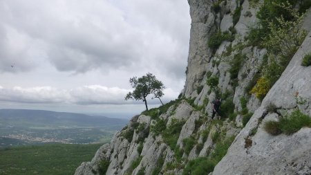 Le passage «clé» du Balcon, vertige proscrit