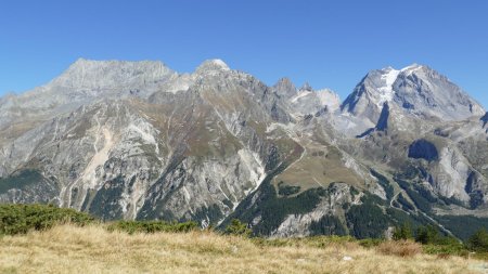 Les vedettes du coin : Grand Bec et Grande Casse.