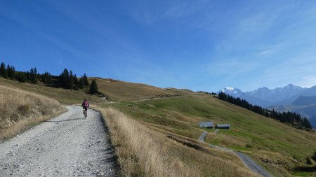 Sur la Route des Crêtes, vers le Mont Clocher