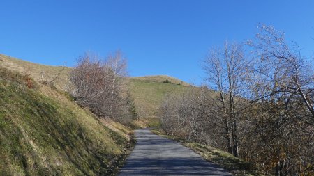 Sur la route du col de l’Arpettaz , la Tête