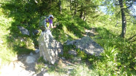 Montée sur le très bon sentier du tour du Mont Blanc