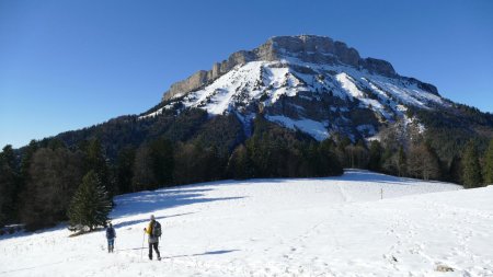 Profitons de ces espaces largement ensoleillés.