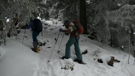 Il y aurait un peu plus de neige, que ce ne serait pas plus mal !