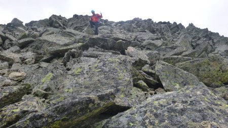 Descente de l’aiguille Noire