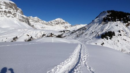 La Tête, vue arrière