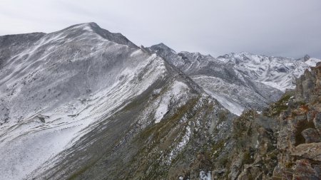 La partie d’arête la plus effilée